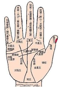 双重感情线的诱惑与挣扎