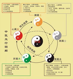 正五行在风水中的作用，如何通过龙之气改写为？
