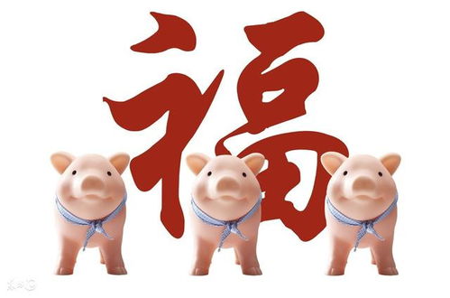 姓朱属猪的人是不是忒别有福气呢？