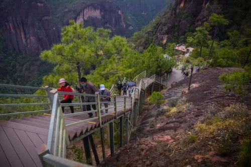 第三章：平冈之曲——另一种婉转的美