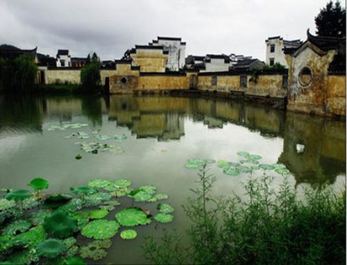 村子风水不好该怎么办,村里有风水水塘好吗