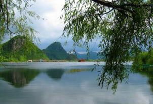 云杉坪：较高山植被王国