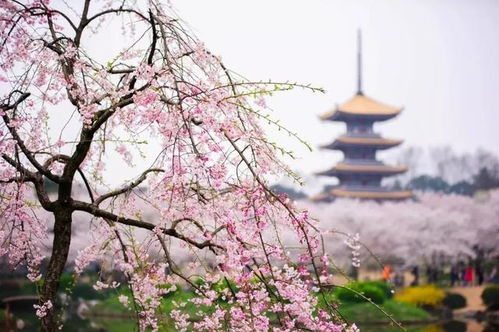 一、 天气预报的阴晴圆缺