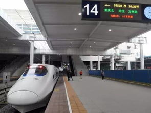 五、行前准备清单——别把自己弄得像迷路的小羊羔！