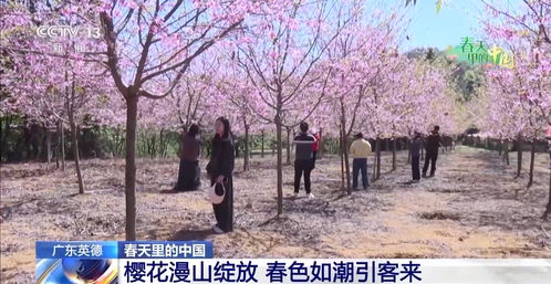 第一章：迷失在花海里的开始