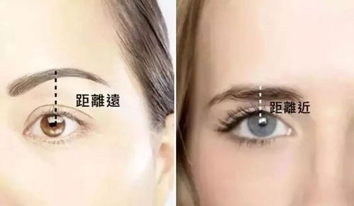 眉毛上翘，暗示着什么？