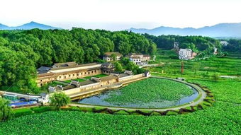 2026年最新运势：属鸡的家长注意！