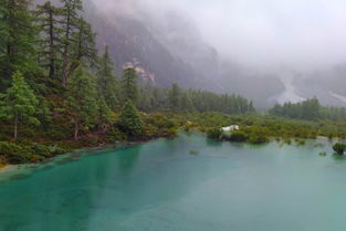 海滨与岛屿：自主之魂所在地