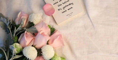 属羊人2026年感情运势中桃花会怎样？