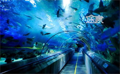 圣亚海洋世界：海底世界的奇妙之旅