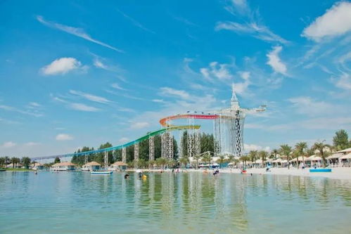 Tianjin 海昌极地海洋公园：动物天堂还是表演舞台？