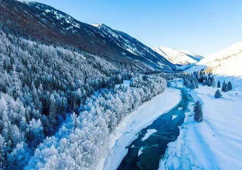 六、 自驾游：找死的最佳方式