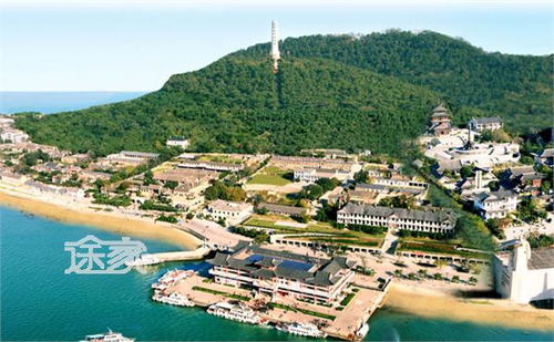 交通和住宿的那些坑