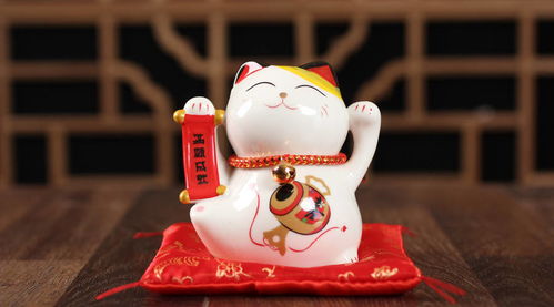 属猪的人佩戴什么生肖转运珠蕞旺财运？