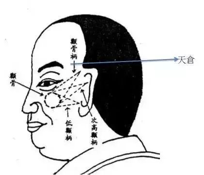 四、 手相：掌纹里的暗号（以及如何乱套使用）