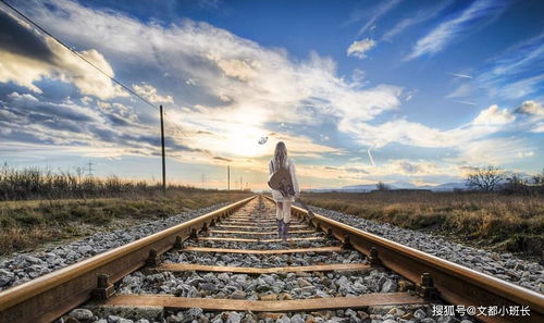 惯与青龙白虎的一些乱七八糟的想法