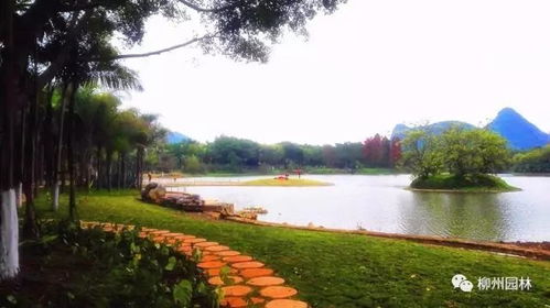 公园性格大揭秘