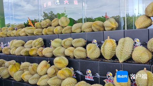 1. 选择合适的品种