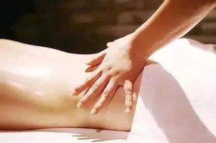 手掌的秘密：2026年你能发多大财？