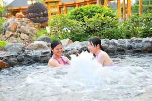 住宿选择：华天城、湘电、紫龙湾哪个更坑？
