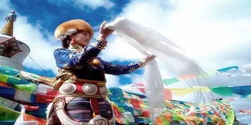 一、 序章——高原的“甜蜜噩梦”