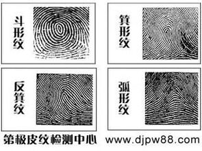 不同数量的斗代表哪些命运？
