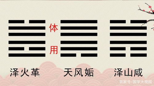 梅花简单数里“动爻”是怎样算出来的？！