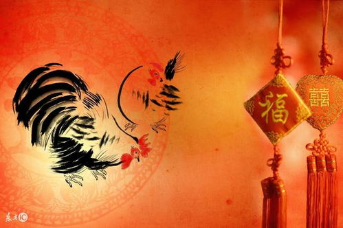 顺便说说几个“不太靠谱”的组合