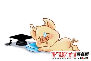 属猪人2018年7月运势及下半年每月运势具体如何？