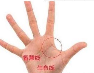 核心纹路解析
