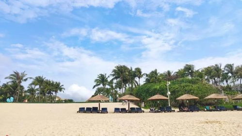 暑假旅游别再当韭菜！这些冷门地才是2026年的真·躺平圣地