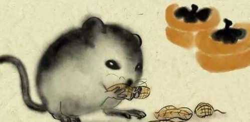 十五岁属鼠的女孩的命格或命理究竟是什么？