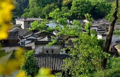 二、 古坡镇：牛排山村，祭祖文化传承千年