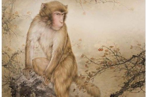2026年属猴人如何提升财运？财运状况如何？