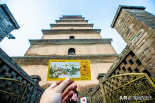 门票市场价格到底是更多更少个？