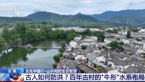 农家小院里的黑暗料理