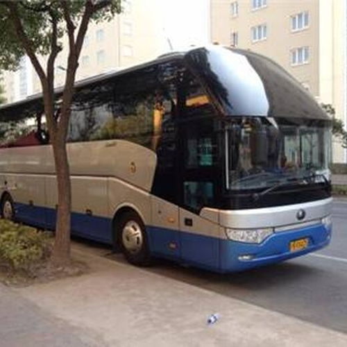 数据揭秘：官方时刻表与实际耗时的“温差有多大”
