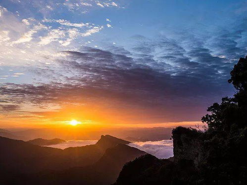 2. 景区特色