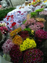 秦美花卉市场环境：以前的繁华与无奈