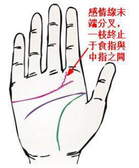 感情线路与婚姻质量评估法（实验版）