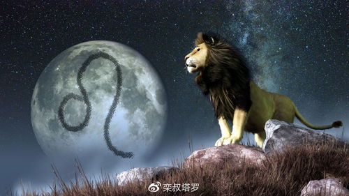 钱方面大猫座的各位年底这波操作更骚