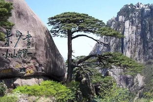 六、古寺预言：谁在较低语着未知的保密？