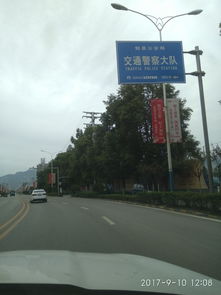 勉县车检所周边：一场充满狗血与惊喜的奇幻漂流