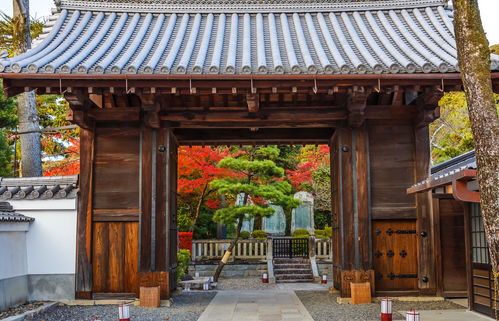 房屋风水布局的意义和作用,房屋风水布局的意义和作用