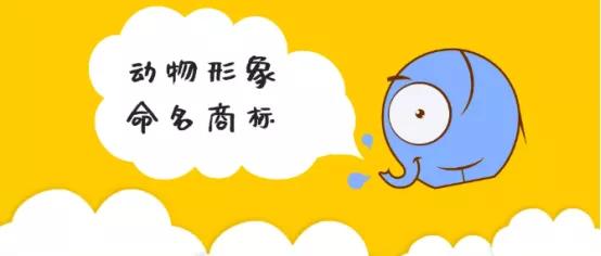 名字里藏着玄机？别闹了！