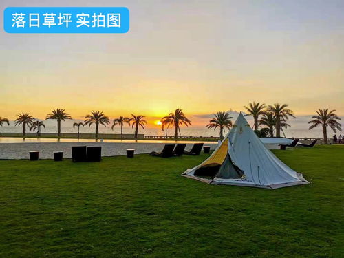 极限运动：释放内心野兽
