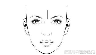 命运写在脸上？额头形状藏着惊天大秘密！
