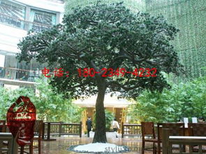 假山绿化怎么布置,假山绿化