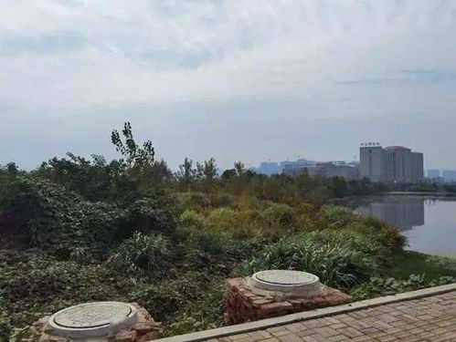 堤坝修多高？这是个哲学问题！