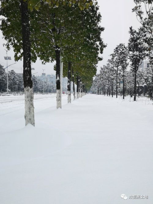 南方下雪北方不下,南方下雪北方下雪